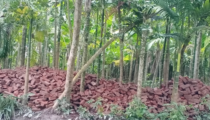 এলজিইডির সড়কে হরিলুট, প্রভাশালীদের বাড়ি বাড়ি ইটের স্তূপ