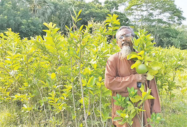 নার্সারি করে সফল ছিরু মোল্লা