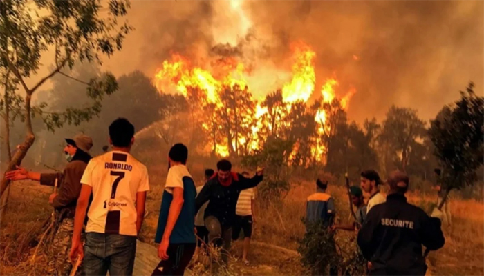 আলজেরিয়ায় ভয়াবহ দাবানল, নিহত ৩৪