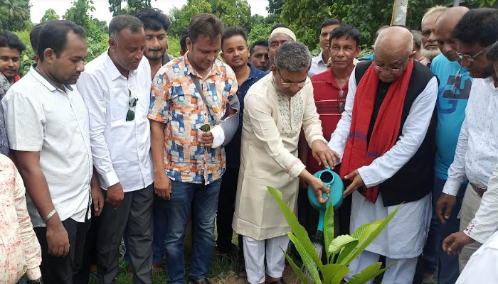 পাবনায় জাতীয় বৃক্ষরোপন কর্মসূচী উদ্বোধন