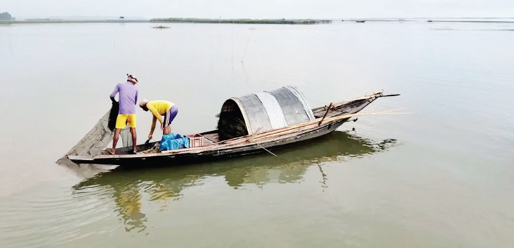 কিশোরগঞ্জের হাওরে কমছে মাছ