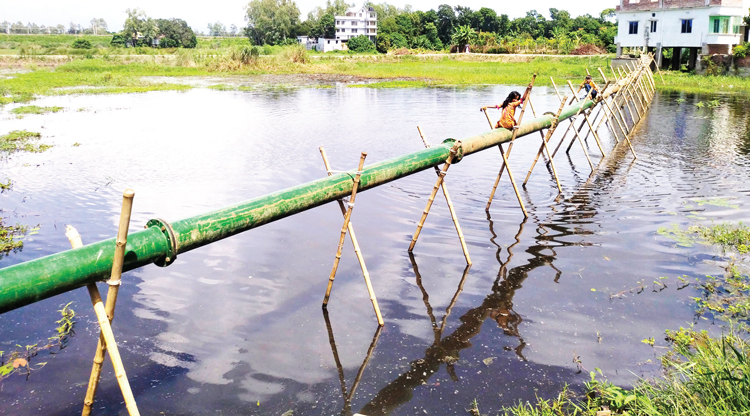 আড়িয়াল বিলসহ কৃষি জমি হুমকির মুখে