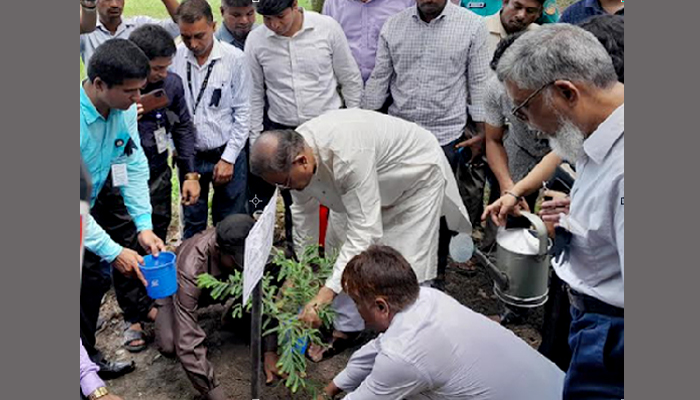 ‘আ.লীগকে বোল্ড আউট করতে গিয়ে বিএনপি নিজেই বোল্ড আউট হয়ে গেছে’