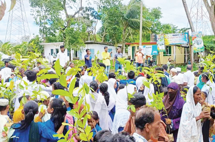 বনায়ন গড়তে শিক্ষার্থীদের গাছের চারা উপহার