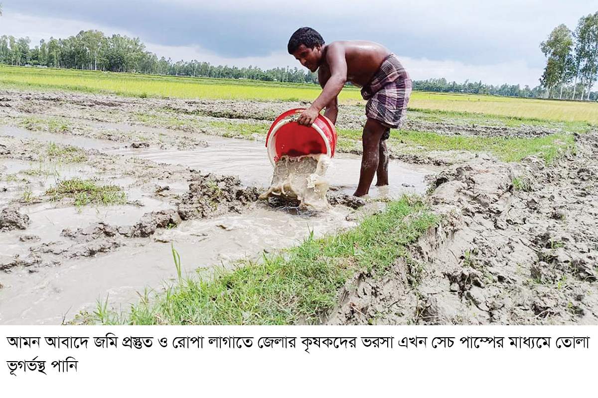 আমন আবাদ নিয়ে দুশ্চিন্তায় কৃষক