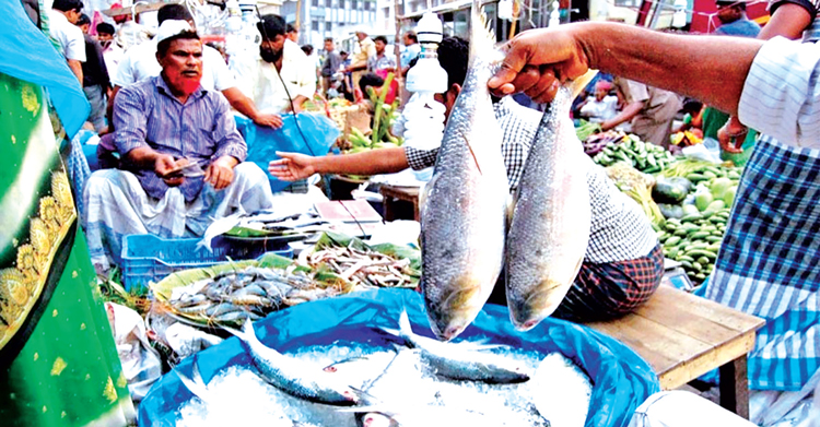 চট্টগ্রামে প্রচুর ইলিশ