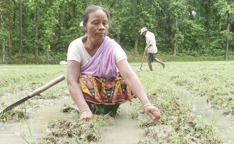 স্বাধীনতার ৫২ বছরেও স্বীকৃতি মেলেনি আদিবাসীদের