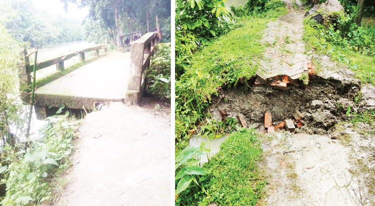 ভারি বর্ষণে নাজিরপুরে সড়কে ধস