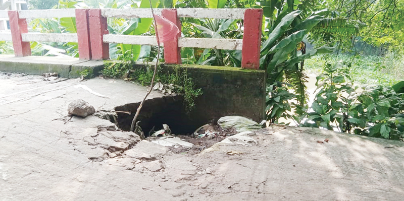 শ্রীনগরে ঝুঁকিপূর্ণ সেতুতেই যাতায়াত করছেন স্থানীয়রা