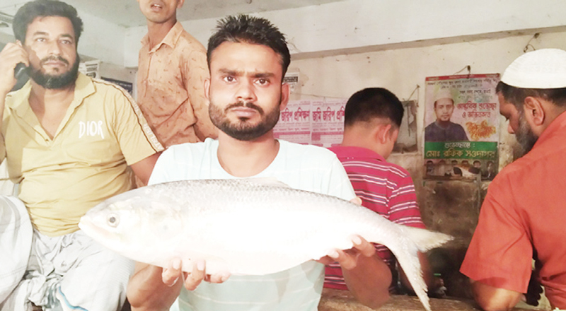 দুই কেজির ইলিশ সাড়ে ৩ হাজার টাকায় বিক্রি