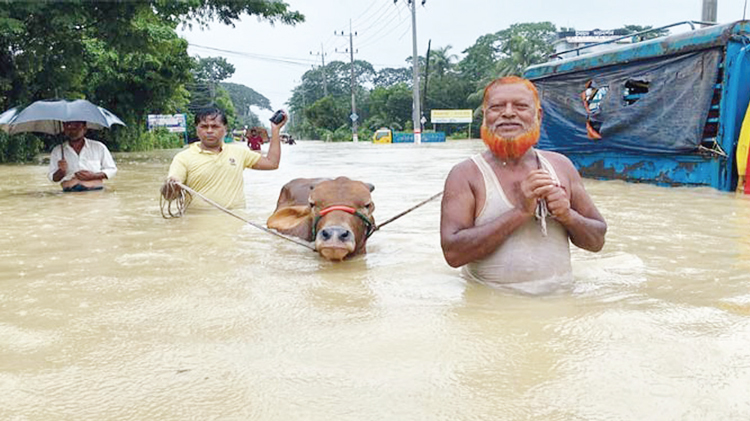 বন্যা থেকে মুক্তি পেতে করণীয়