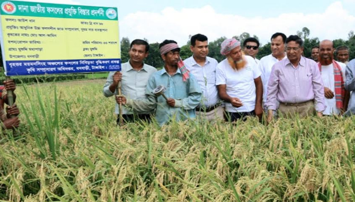 বছরে চার ফসলের সম্ভাবনা খাদ্য নিরাপত্তায় বিরাট ভূমিকা রাখবে: কৃষিমন্ত্রী