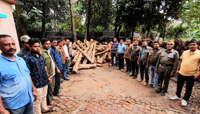 চট্টগ্রামে বিপুল পরিমাণ সেগুন গাছ জব্দ