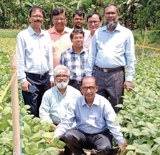 বশেমুরকৃবি’র লবণাক্ত সহিষ্ণু উচ্চফলনশীল সয়াবিনের নতুন দুই জাত উদ্ভাবন