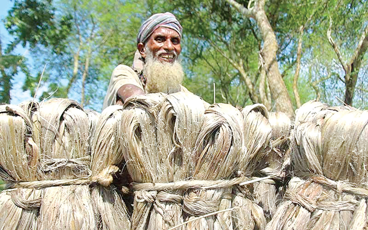 পরিবেশবান্ধব পাটের ভিত গড়েছেন বঙ্গবন্ধু