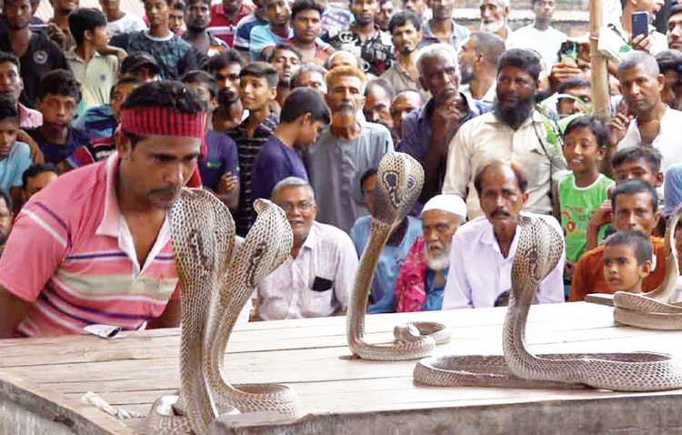 ঐহিত্যবাহী সাপখেলা দেখতে ঢল