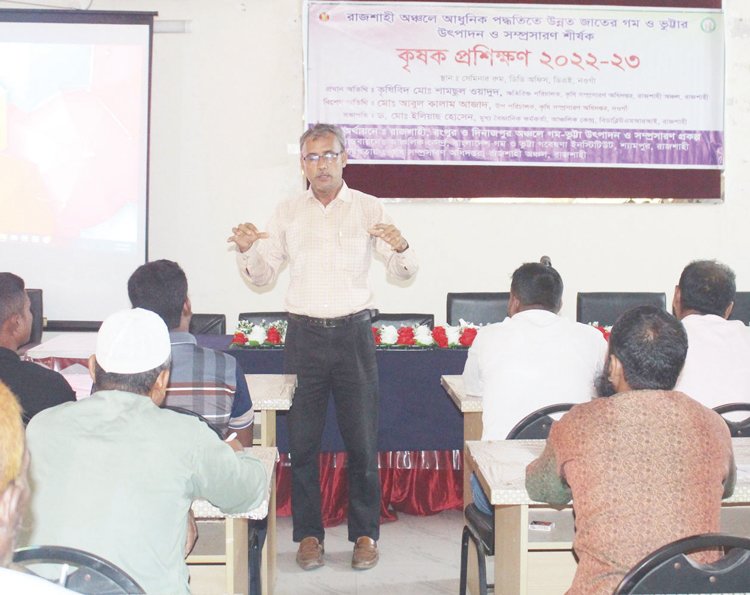 নওগাঁয় বরেন্দ্র অঞ্চলে গম-ভুট্টার চাষ বাড়াতে বিশেষ উদ্যোগ