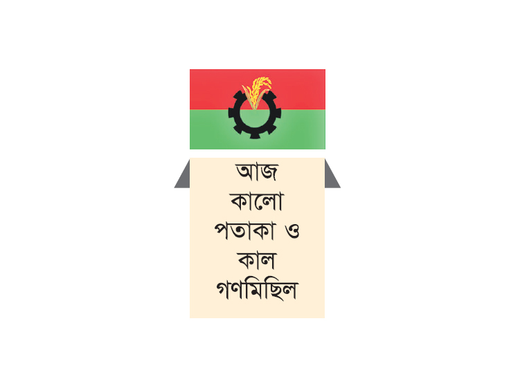 সাফল্য নিয়ে বিএনপির তৃণমূলে হতাশার সুর