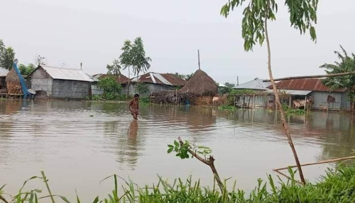 তিস্তার পানি বেড়ে হাতীবান্ধার নিম্নাঞ্চল প্লাবিত