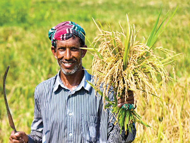 জুলাইয়ে দুই হাজার কোটি টাকার কৃষিঋণ বিতরণ