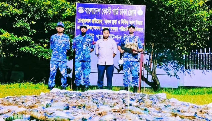 চাঁদপুরে ৪ হাজার ৫০০ কেজি জেলিযুক্ত চিংড়ি জব্দ