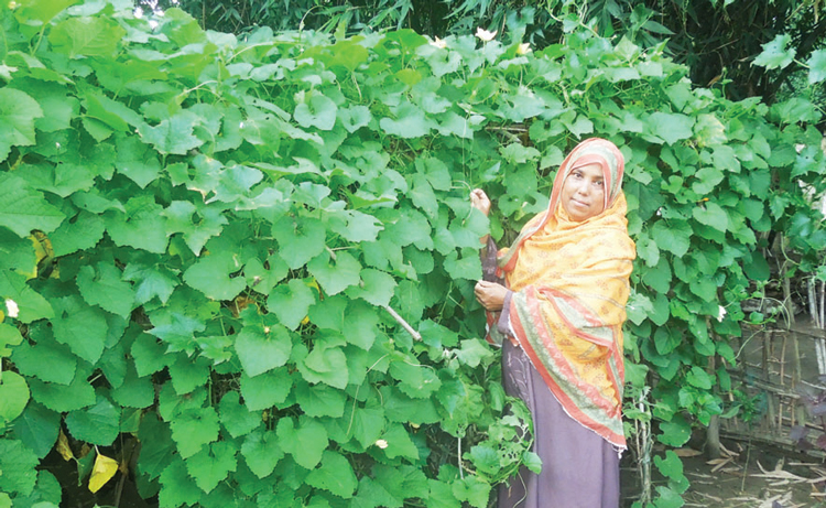 দামুড়হুদার সাহসী নারী রিনির কৃষিতে বিরল দৃষ্টান্ত