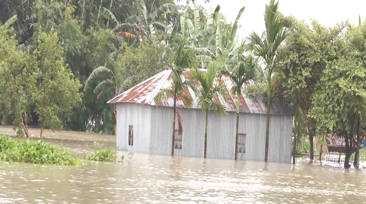 বাড়ছে পানি বাড়ছে দুর্ভোগ