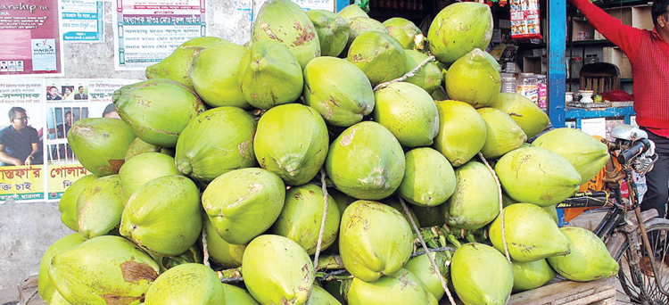 ডাব কেনাবেচায় রাখতে হবে রসিদ, দাম বেশি নিলে ব্যবস্থা