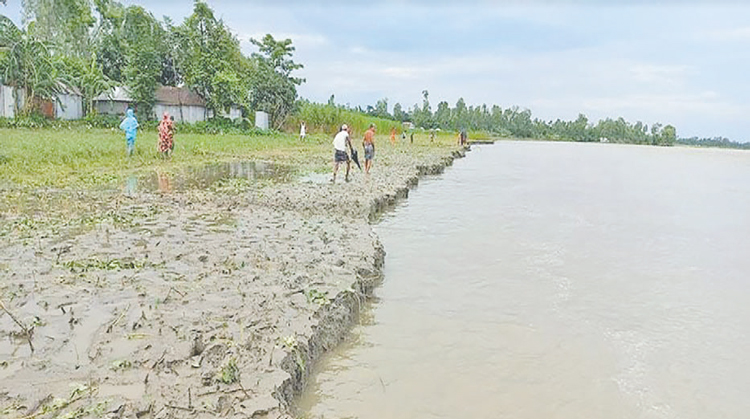 তিস্তার কাউনিয়া পয়েন্টে বেড়েছে পানি