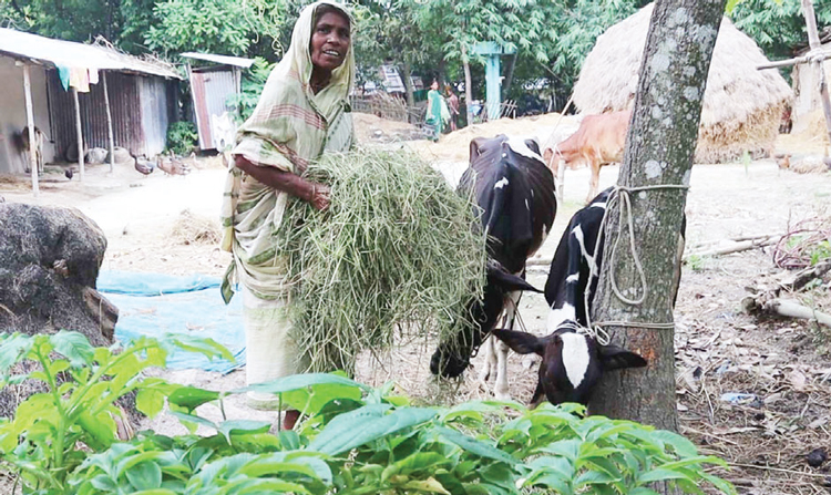 নওগাঁয় বদলে যাচ্ছে নৃগোষ্ঠীর জীবনমান