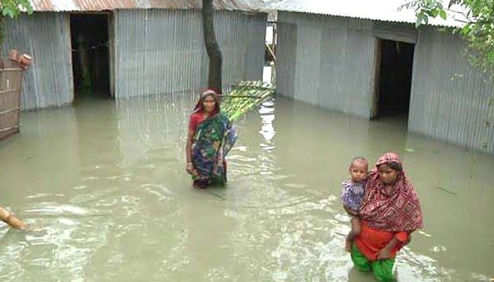 সিরাজগঞ্জে নিম্নাঞ্চলে বন্যা কবলিত ফসলের ব্যাপক ক্ষতি