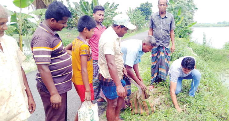 ১৪ বছর ধরে তালের চারা রোপণ করছেন হতদরিদ্র চিত্তরঞ্জন