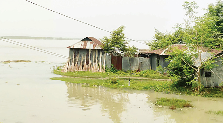 যমুনাসহ তিন নদীর পানি বিপৎসীমা অতিক্রম