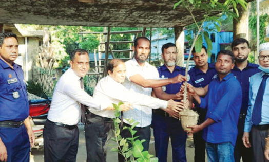 মাদক মামলার সাজা শেষে গাছের চারা উপহার