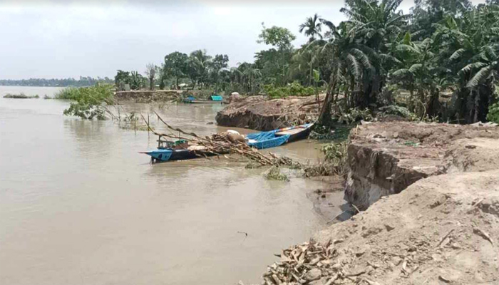 সিরাজগঞ্জে কমছে যমুনার পানি, বাড়ছে ভাঙ্গন