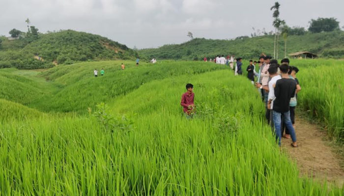 উখিয়ায় ভ্রমণপিপাসুদের আনন্দে নষ্ট হওয়ার পথে কৃষকদের স্বপ্ন