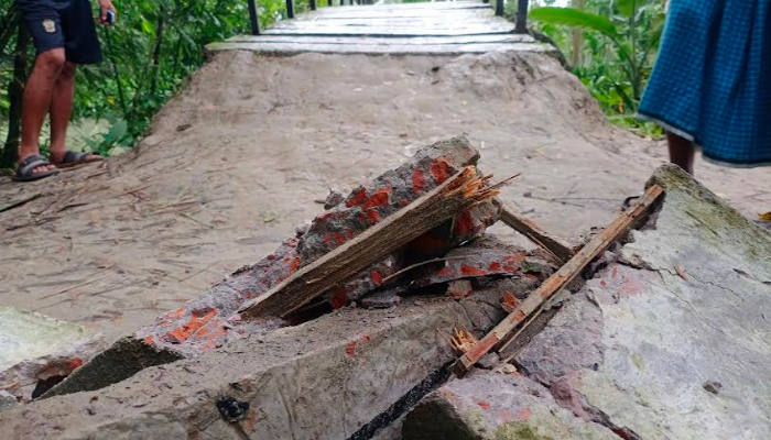 ব্রিজের স্লাবে রডের পরিবর্তে সুপারি গাছ 