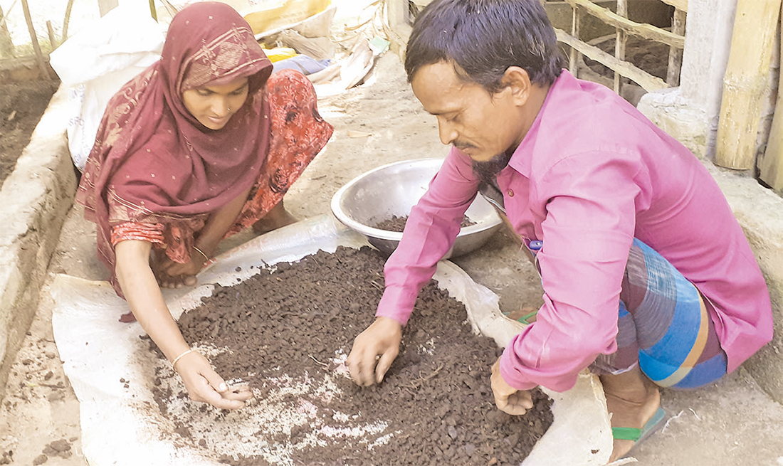 কেঁচো সার উৎপাদনে স্বাবলম্বী নাজমা-ফজলু দম্পতি