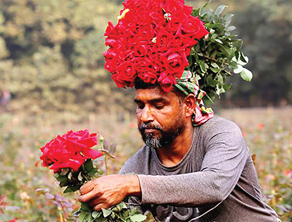 দেশের অর্থনীতিতে ফুল