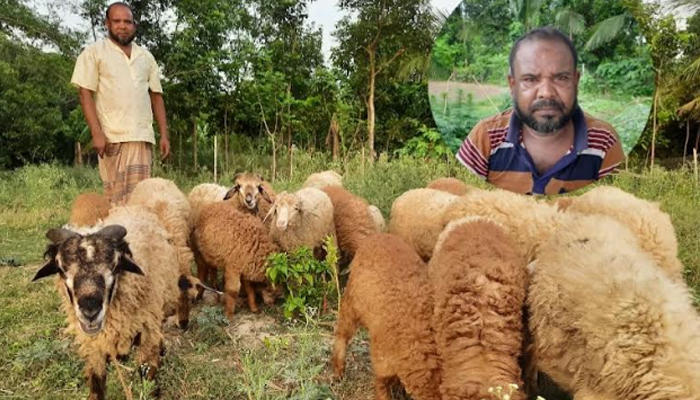 শখ থেকে ভেড়া পালন করে এখন স্বাবলম্বী