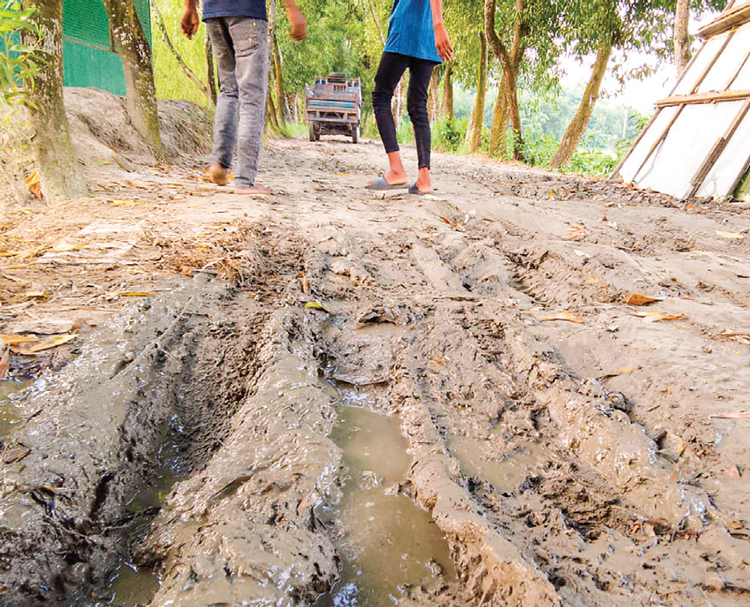 ৫০ বছরেও হয়নি লাকসামের তারাপুর-ইছাপুকুরিয়া সড়ক