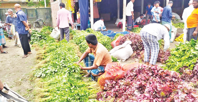 আগাম সবজিতে ভরপুর ঠাকুরগাঁওয়ের বাজার