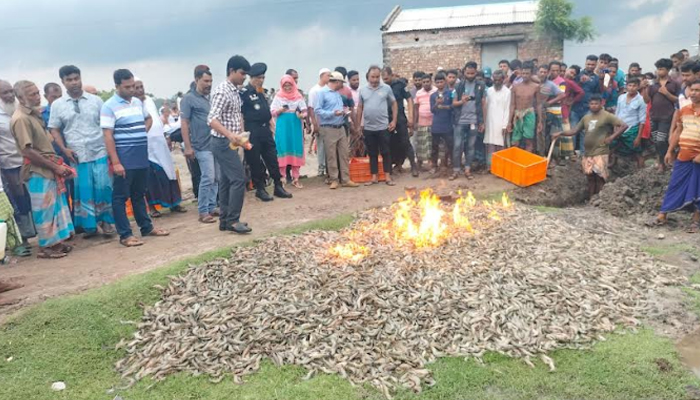 চিংড়ীতে ক্ষতিকর জেলি পুশ করার অভিযোগে ৪ ব্যবসায়ী আটক