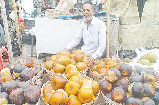 তালের ব্যবসায় সফল হবিগঞ্জের সজিব