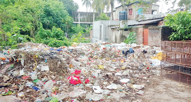 দিনাজপুরে বসতি এলাকায় বর্জ্যের স্তূপ