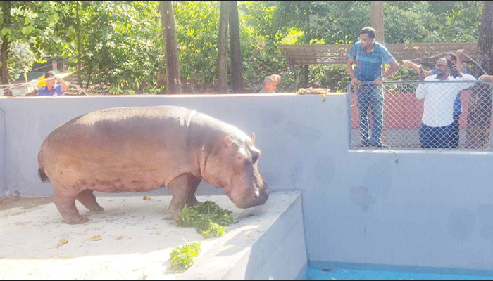 চট্টগ্রাম চিড়িয়াখানায় এলো জলহস্তী