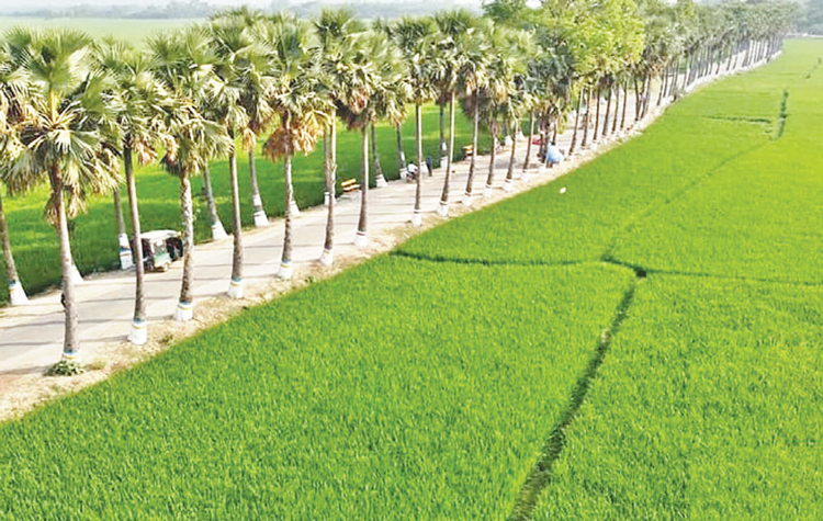 নওগাঁর তালসড়কে পিঠা মেলার আয়োজন