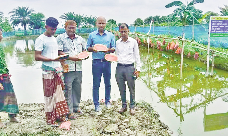 দেবহাটায় তরমুজ চাষে দূর হচ্ছে বেকারত্ব