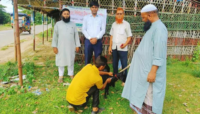 শ্রীপুরে পিপিআর টিকা ক্যাম্পেইন উদ্বোধন