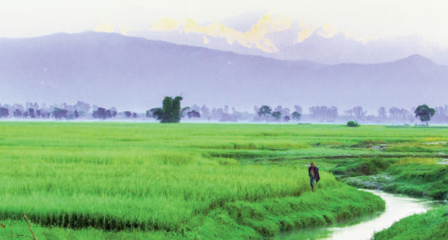 পঞ্চগড়ের কাঞ্চনজঙ্ঘায় মুগ্ধ পর্যটকরা